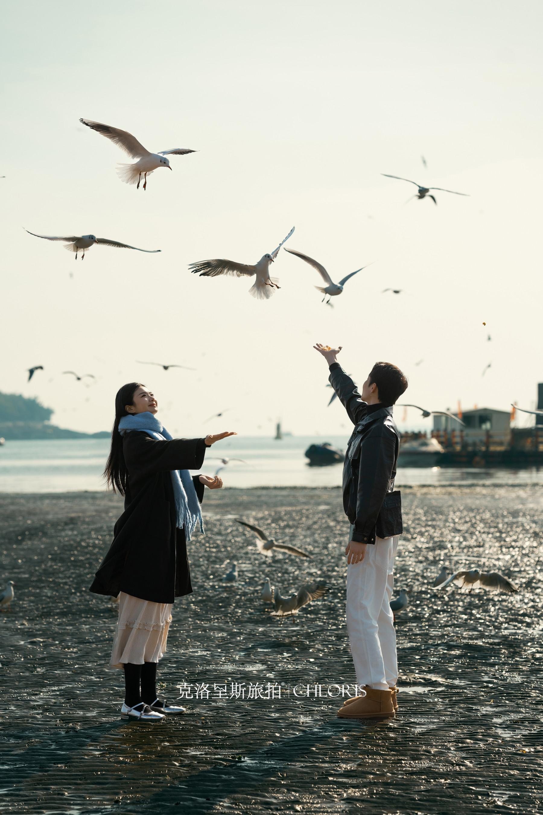 冬季-海鸥婚纱照4